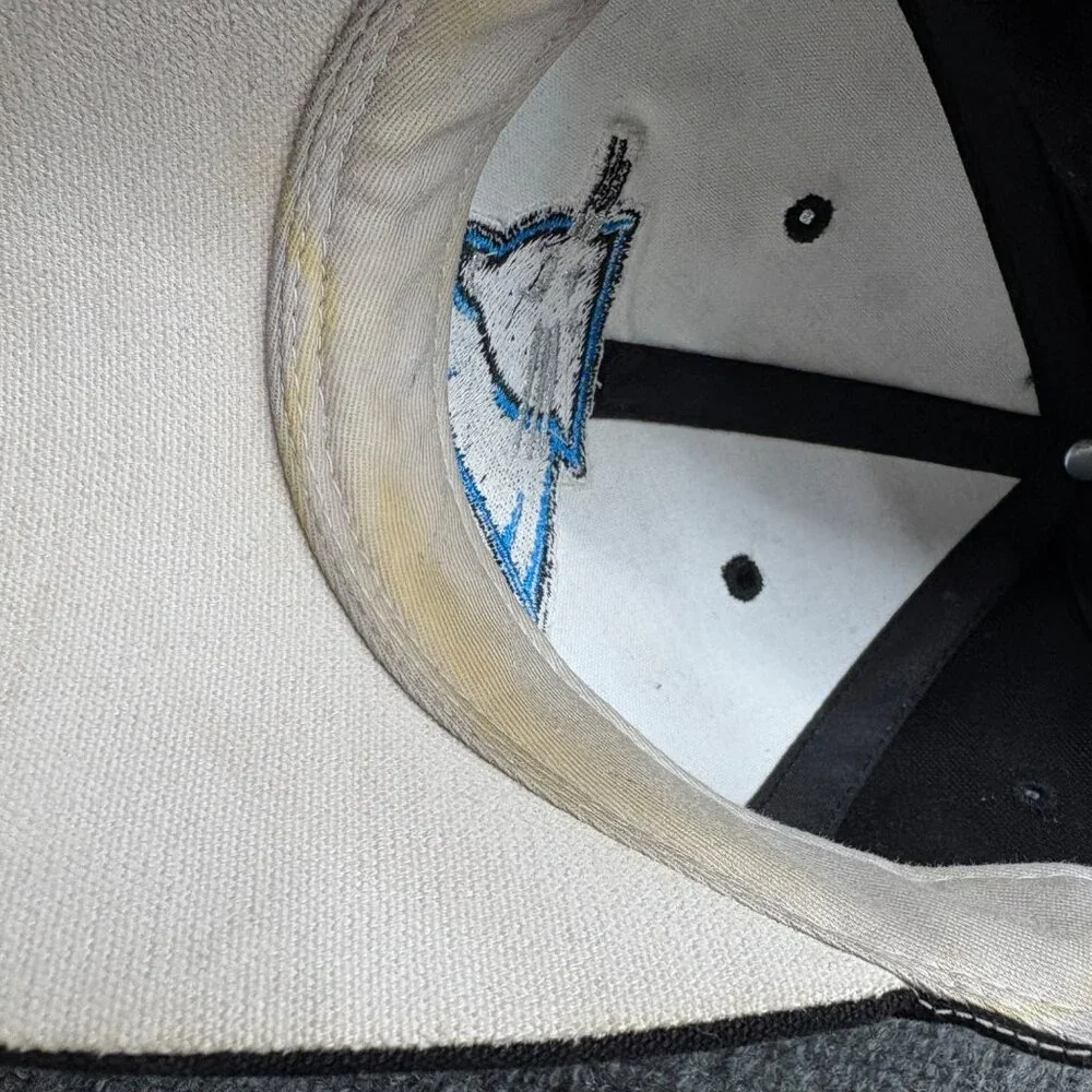 Vintage‎ Y2K Carolina Panthers Reebok NFL Baseball Cap Black Blue Hat Fan